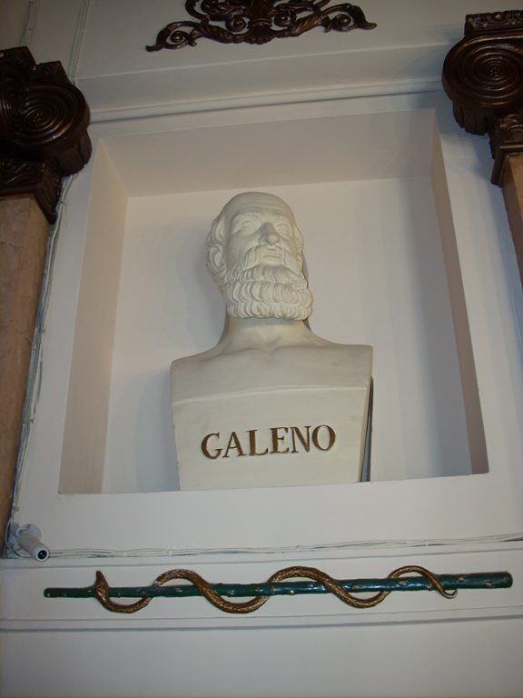 Farmacia dell'Assunta, Carpi - 12.JPG